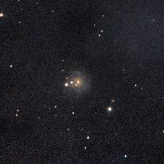 NGC3344