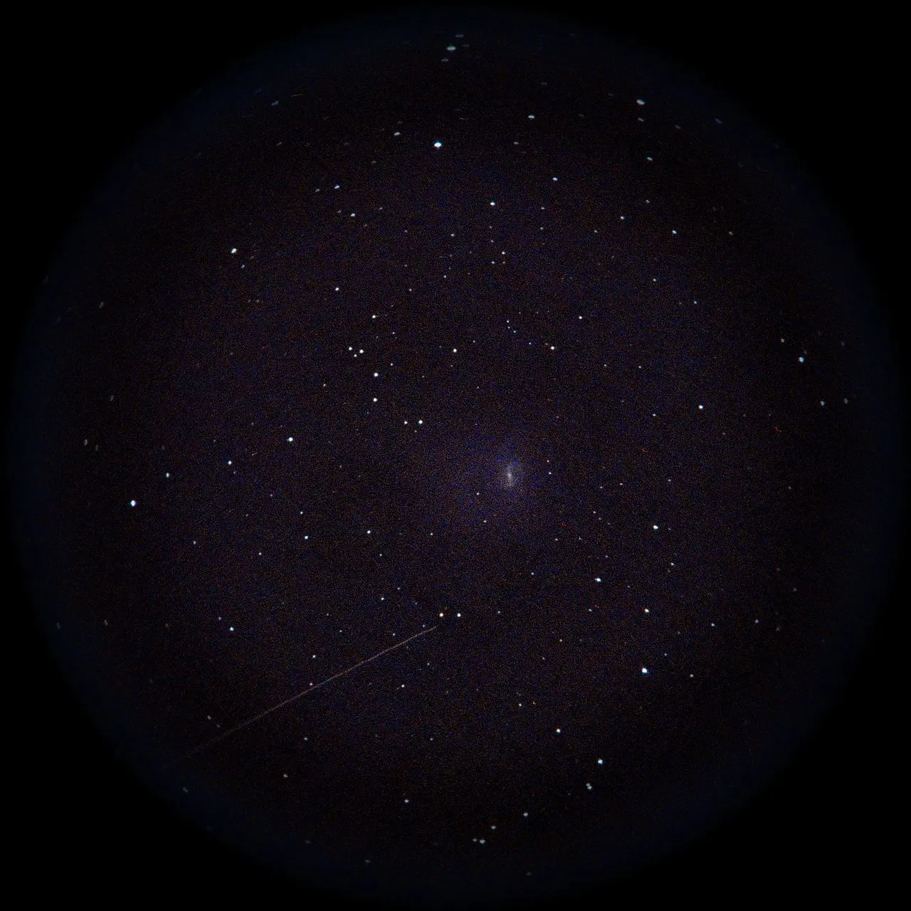 Image of NGC3359