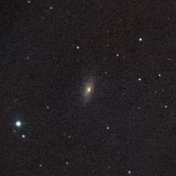 NGC3521