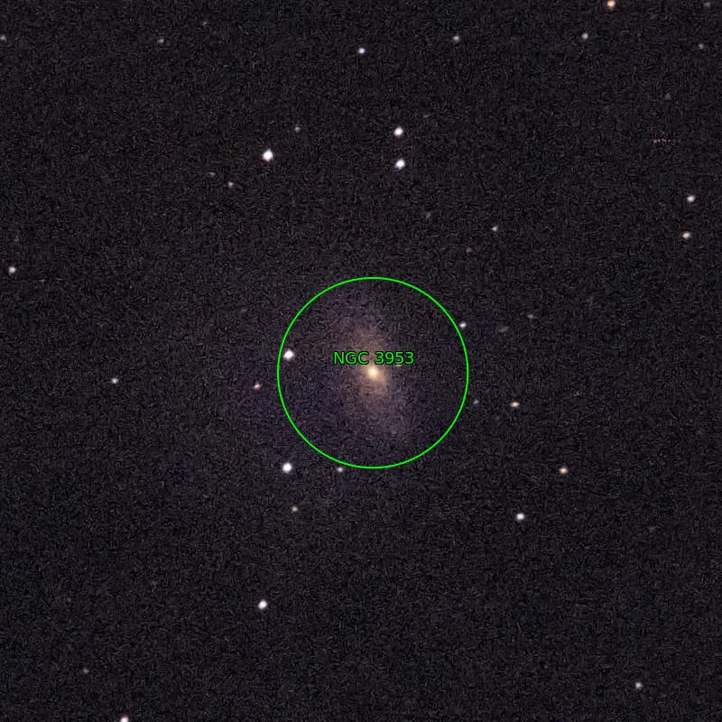 Annotation around NGC3953