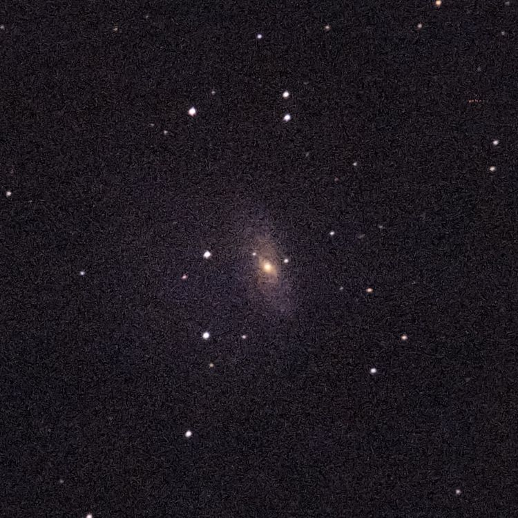 NGC3953 captured through a telescope eyepiece using a smartphone camera - Afocal Astrophotography