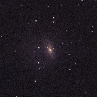 NGC3953