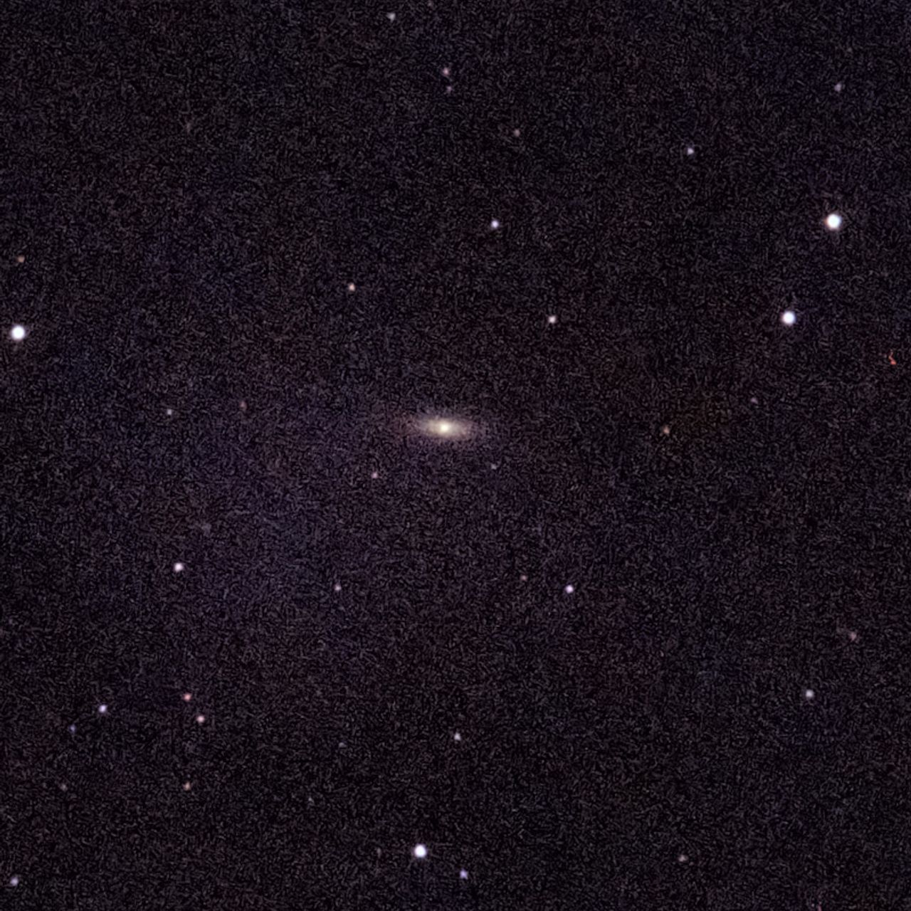 NGC4036