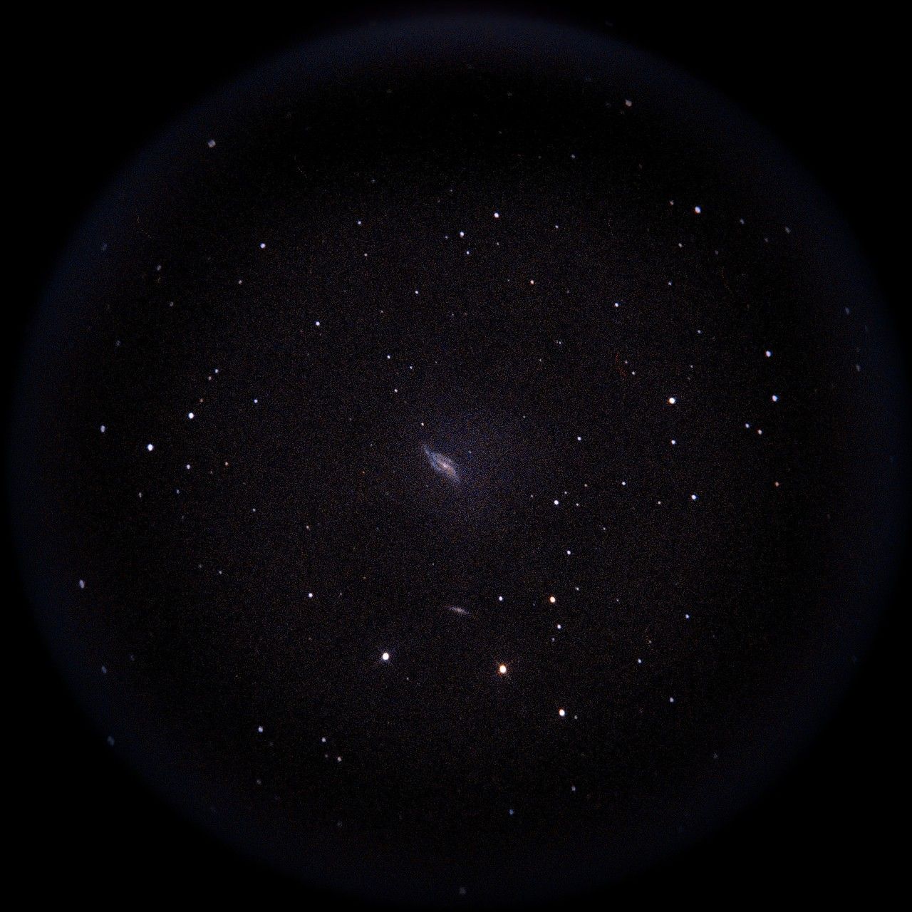 Image of NGC4088