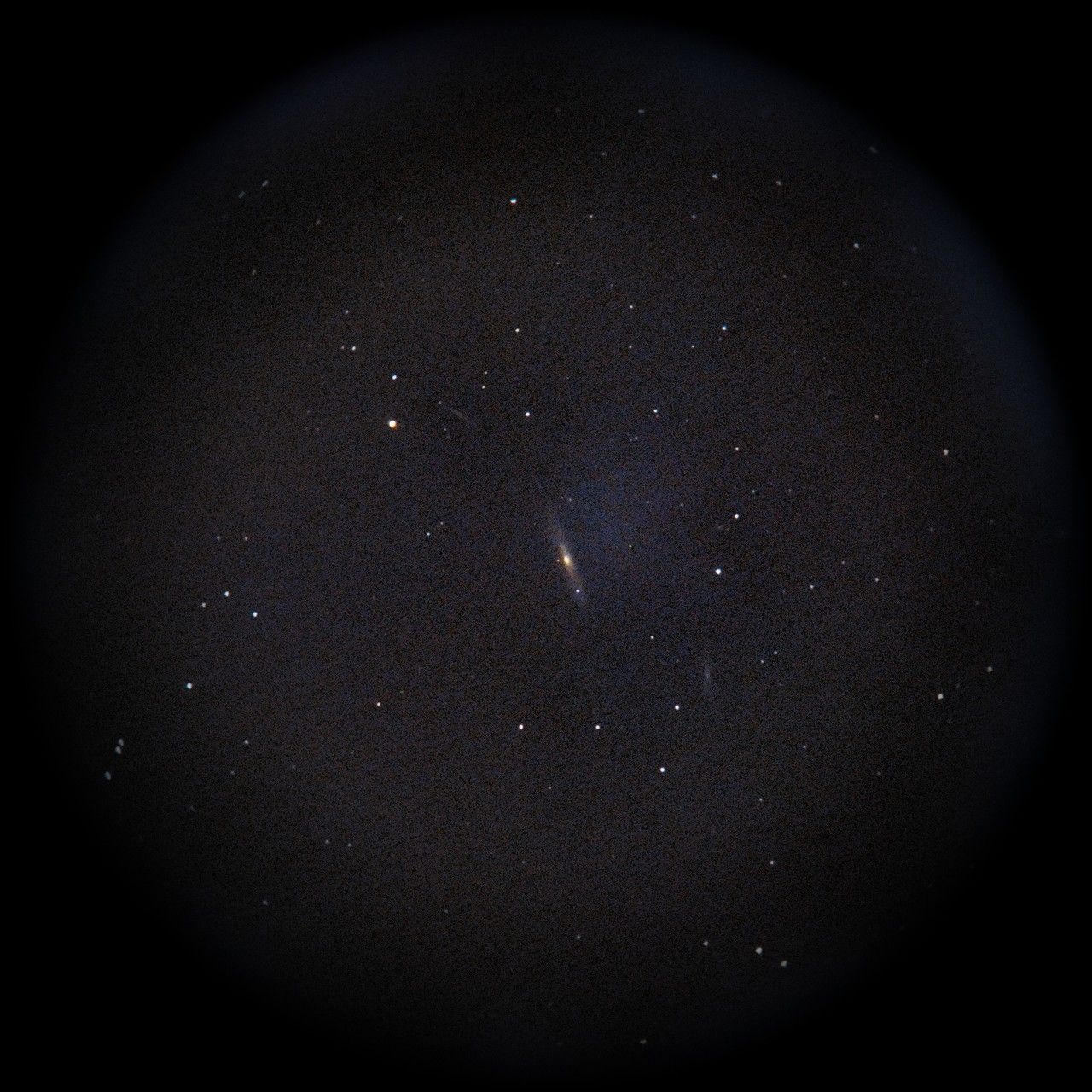 Image of SN2024gy