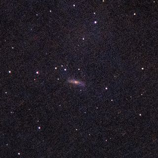 NGC4293