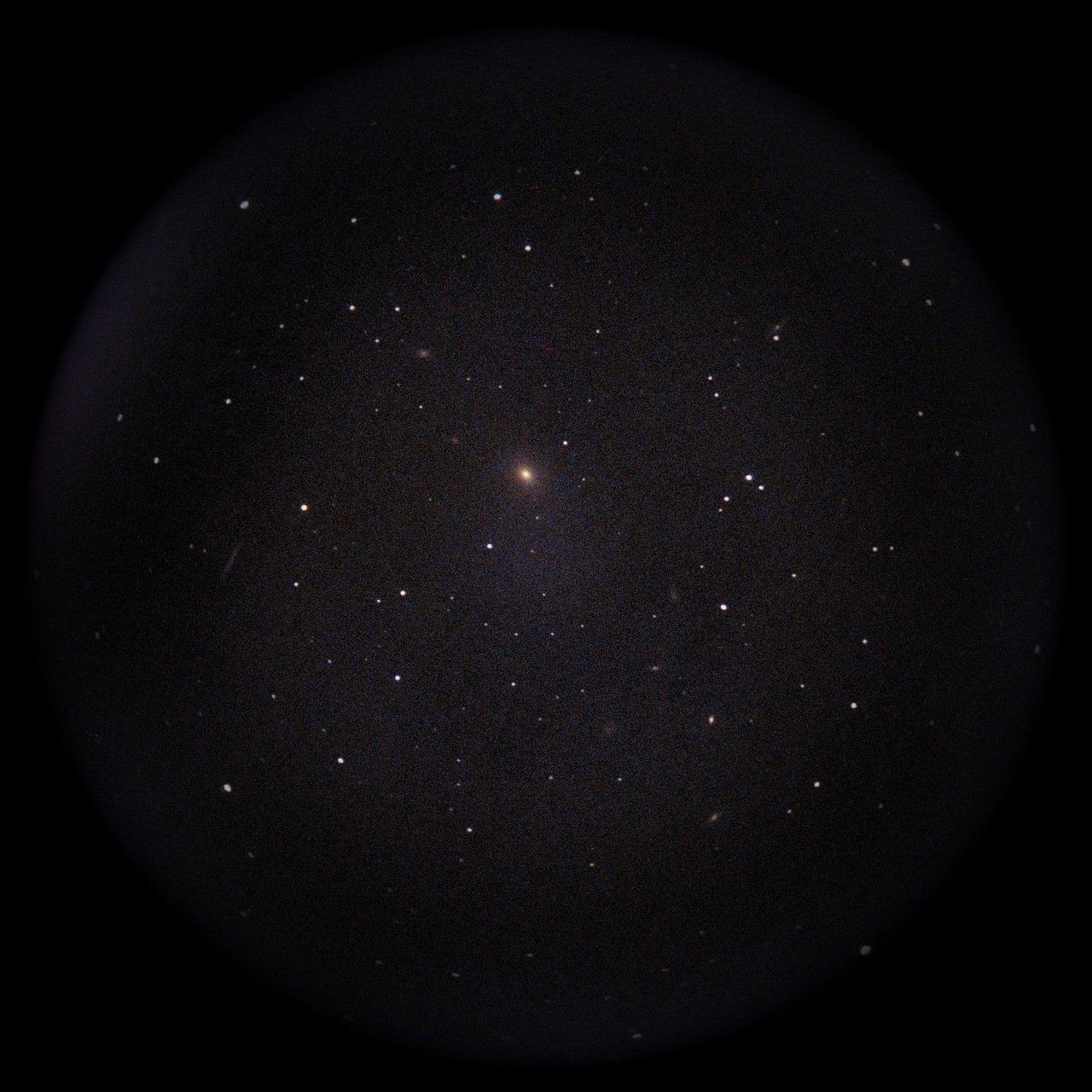 Image of NGC4365