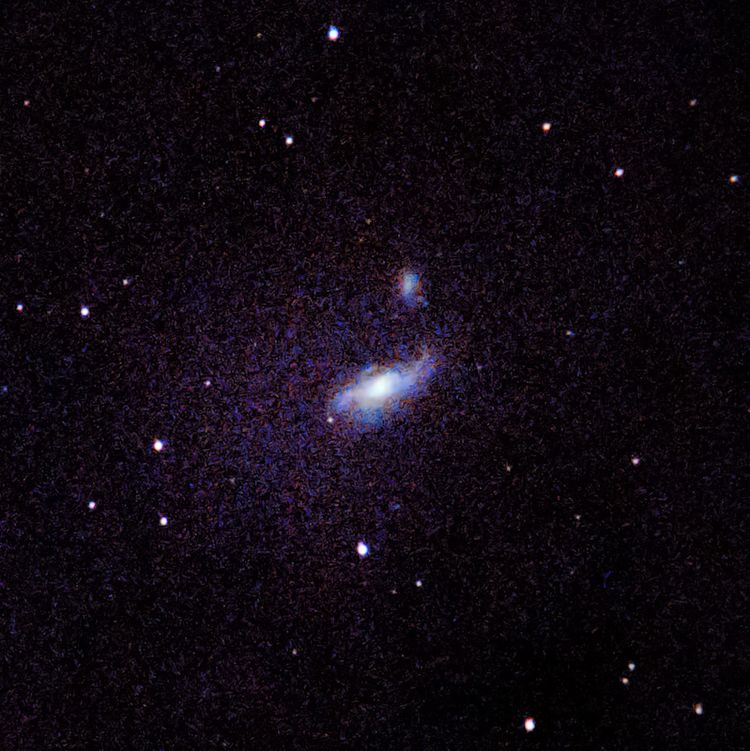 NGC4490 captured through a telescope eyepiece using a smartphone camera - Afocal Astrophotography