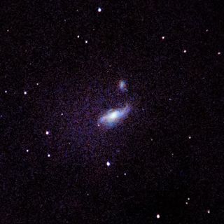 NGC4490