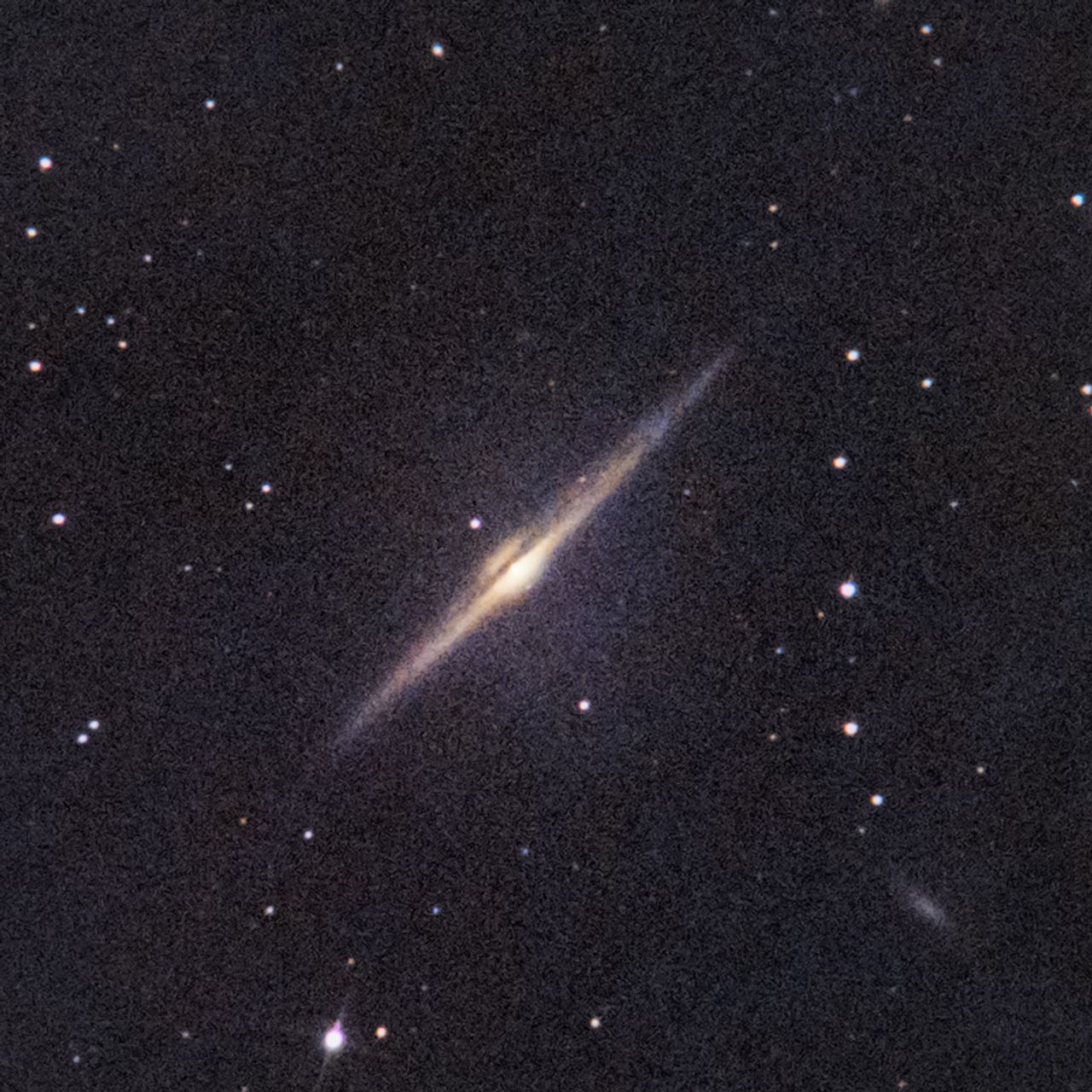 NGC4565