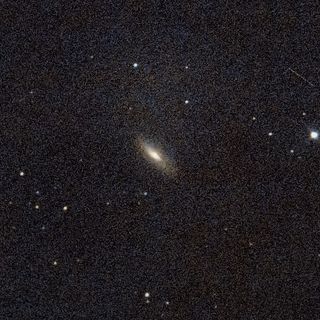 NGC5005