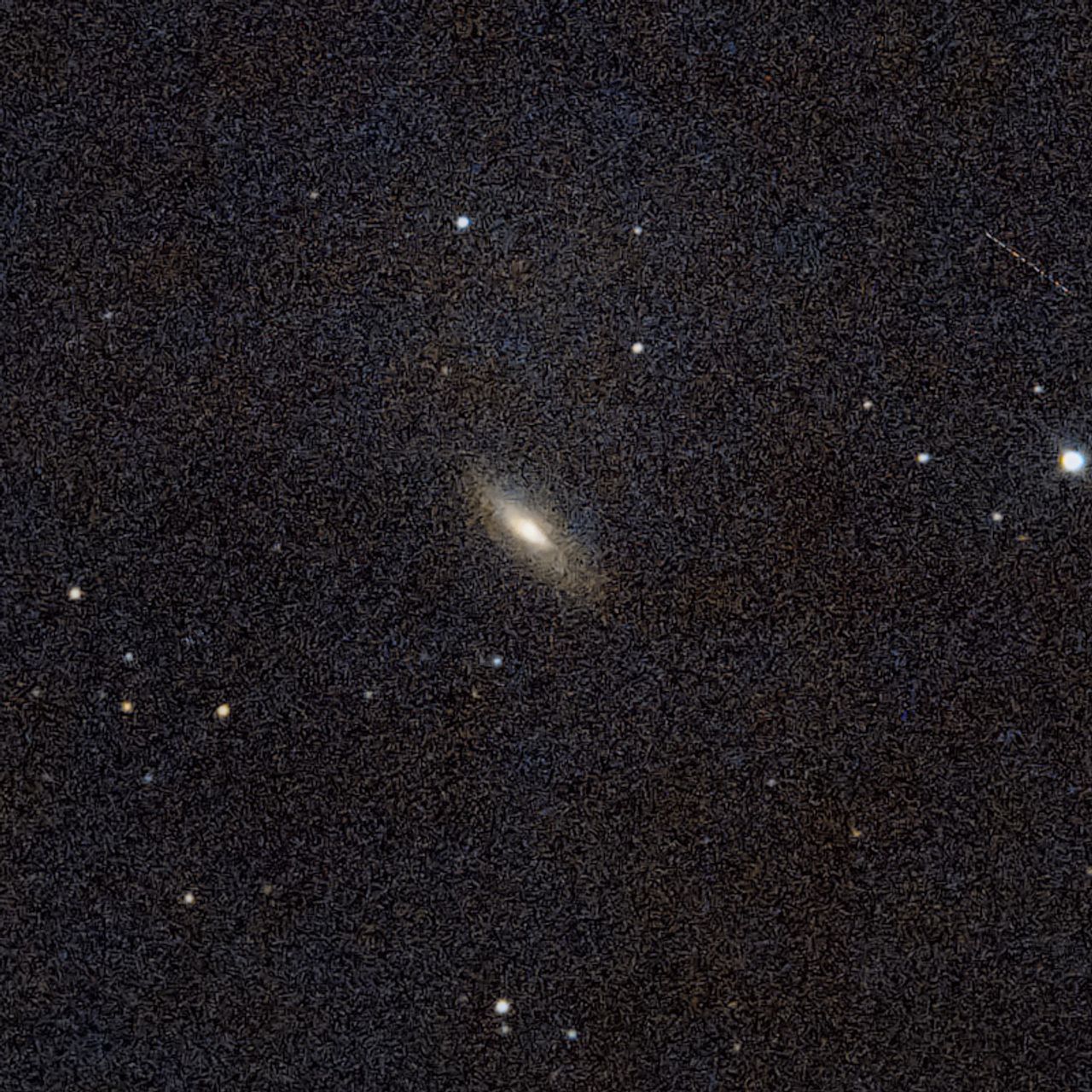 NGC5005