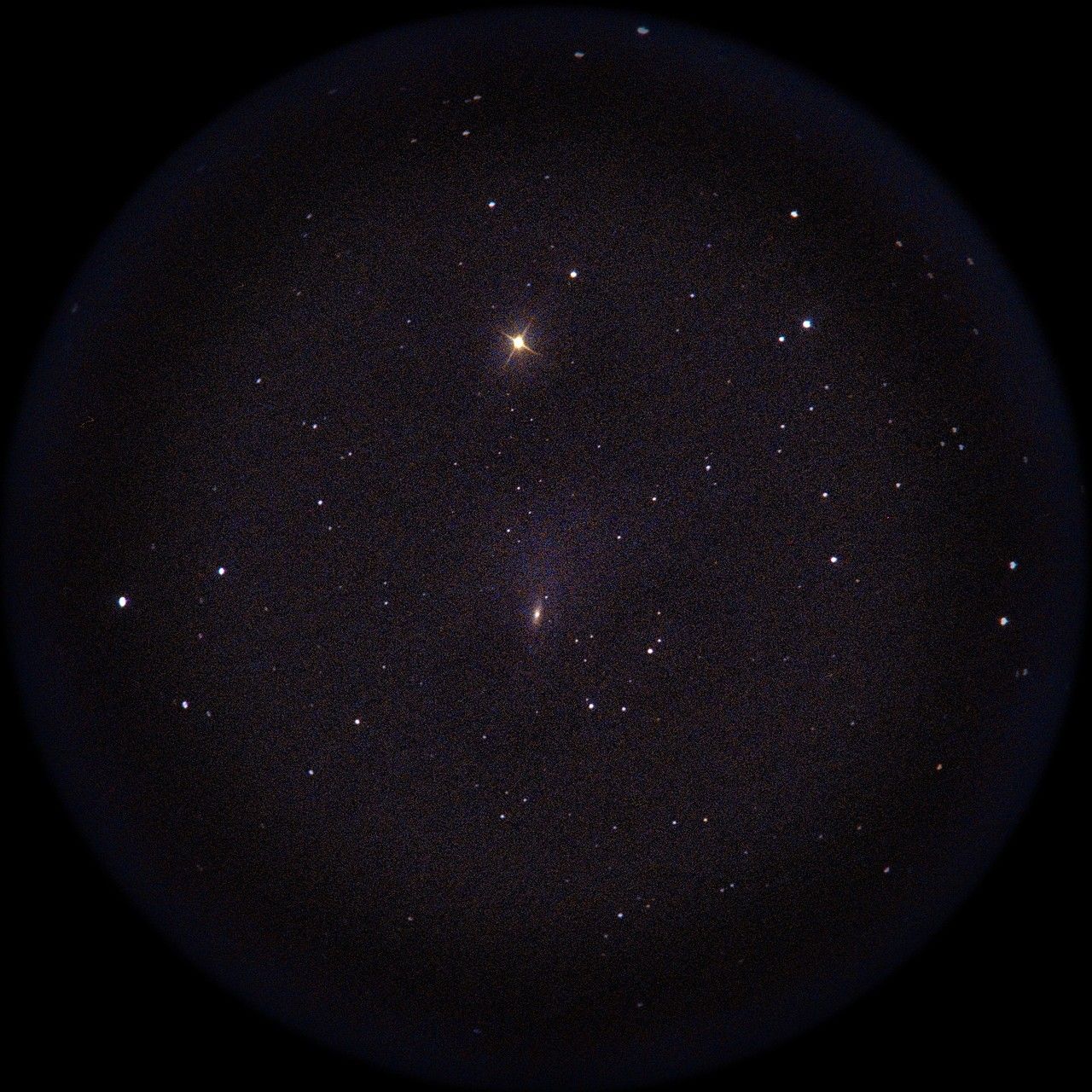 Image of NGC5033