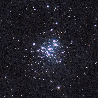 NGC6231