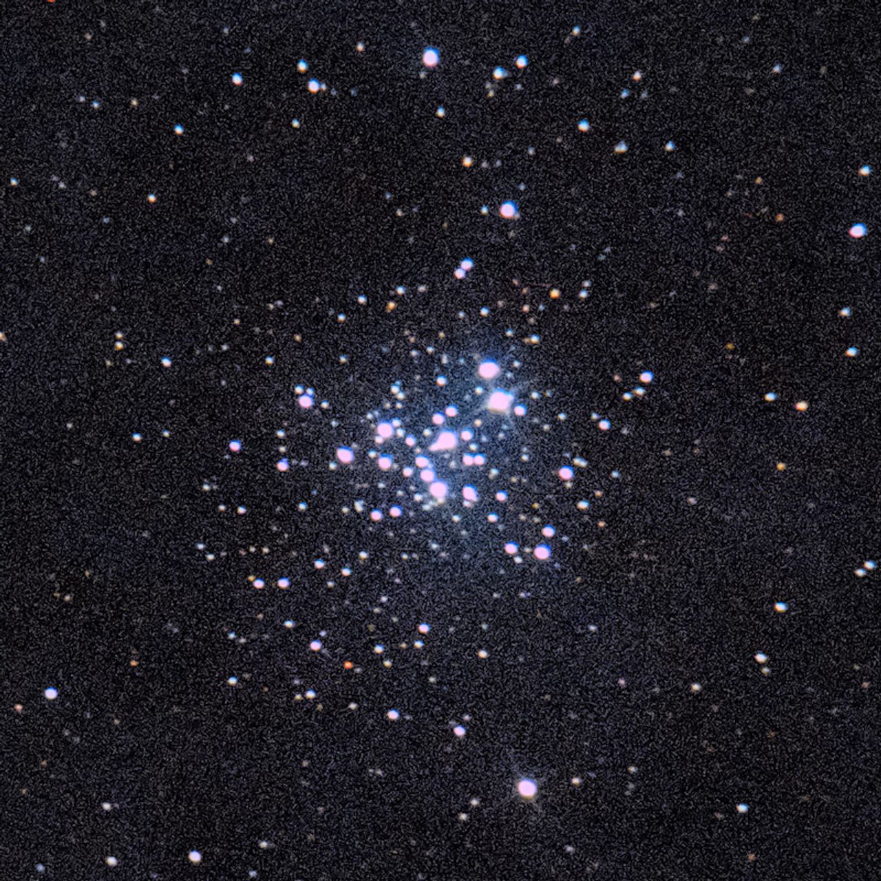 NGC6231