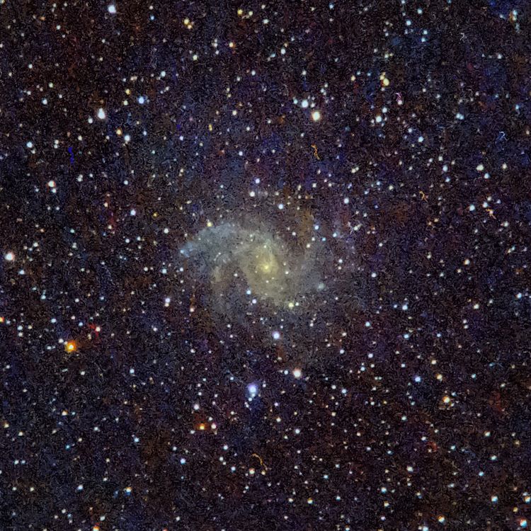 NGC6946 captured through a telescope eyepiece using a smartphone camera - Afocal Astrophotography