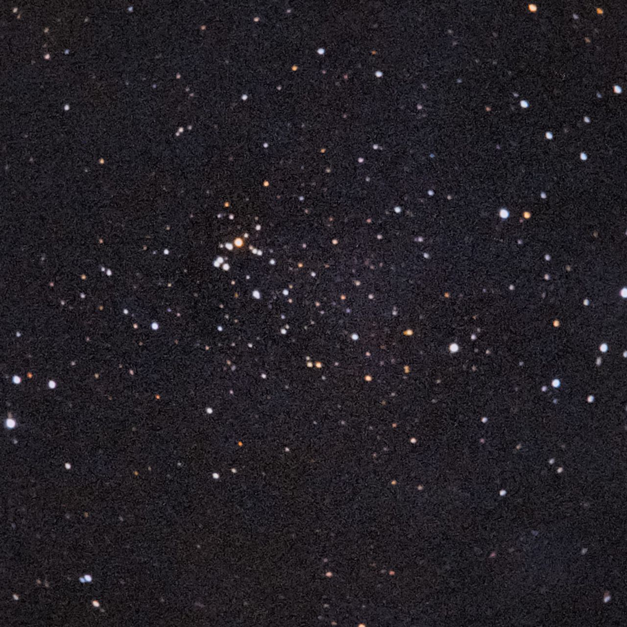 NGC7031