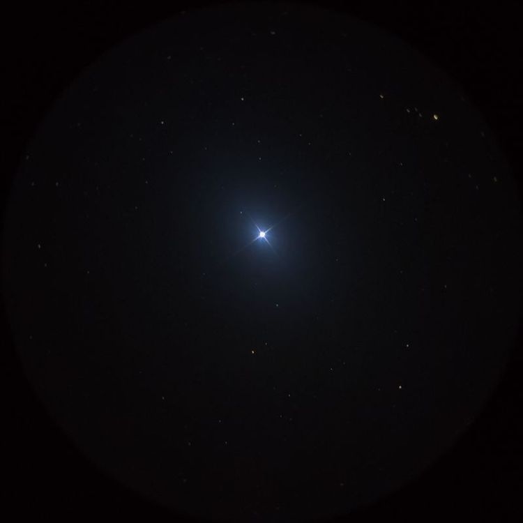 ベラトリクス（Bellatrix） captured through a telescope eyepiece using a smartphone camera - Afocal Astrophotography