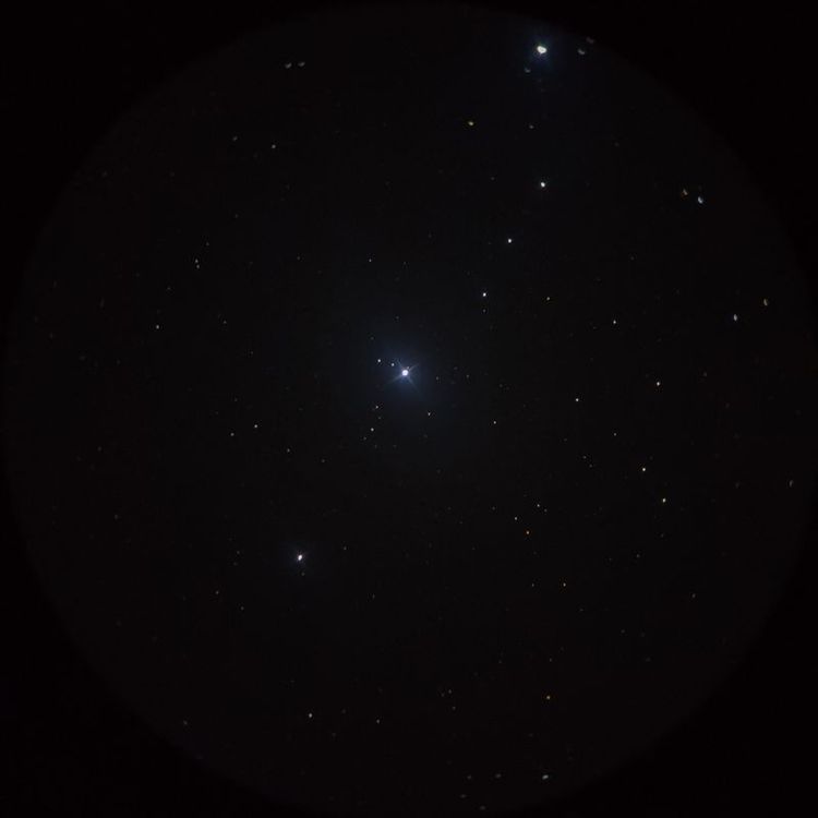 メイサ（Meissa） captured through a telescope eyepiece using a smartphone camera - Afocal Astrophotography
