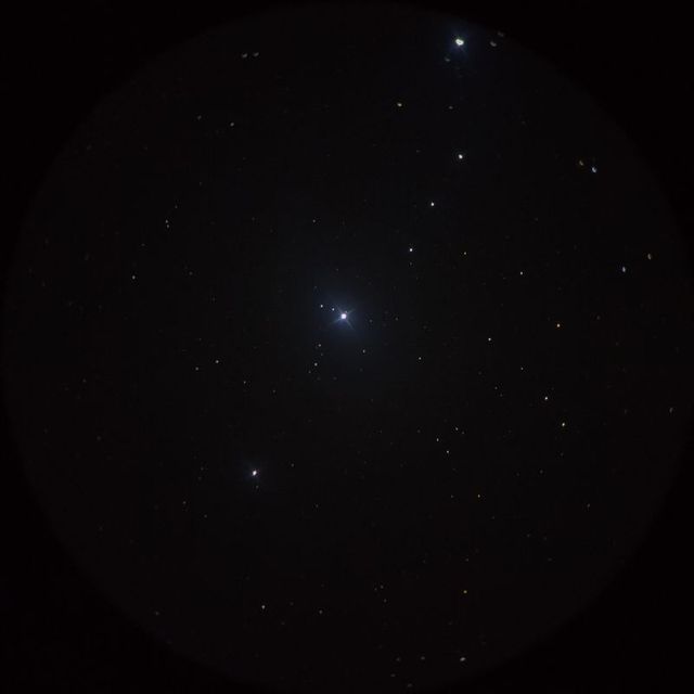 メイサ（Meissa）