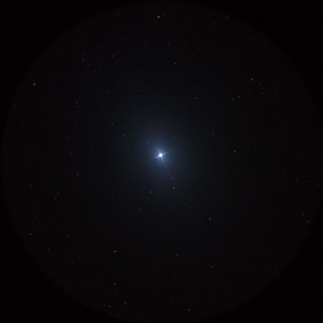 エルナト（Elnath）